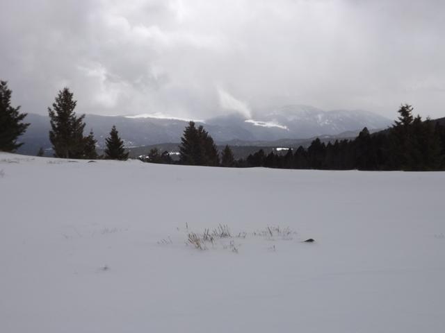 DSCF6248.JPG