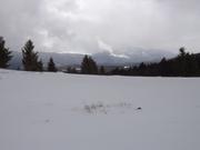DSCF6248.JPG