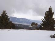 DSCF6251.JPG