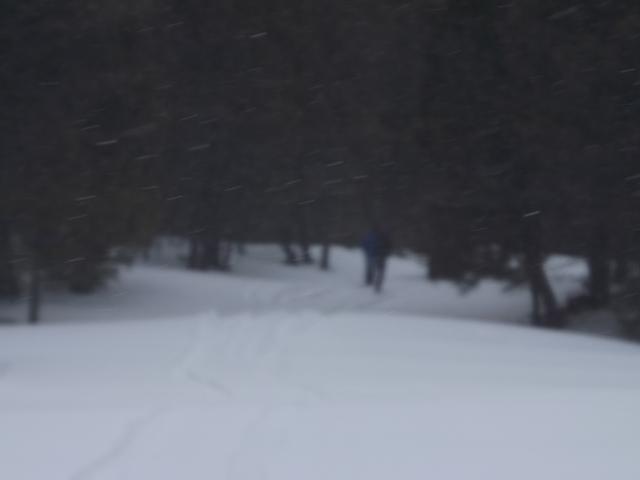 DSCF6254.JPG