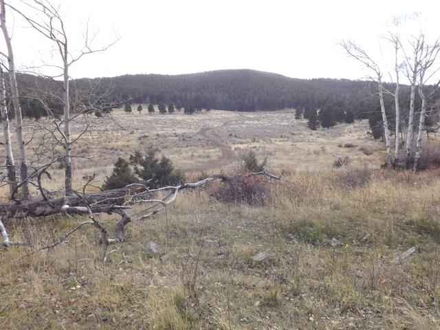 DSCF8290.JPG