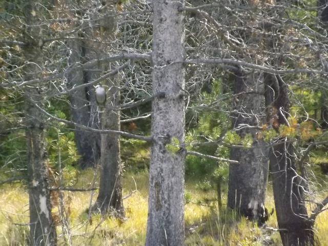 DSCF5076.JPG