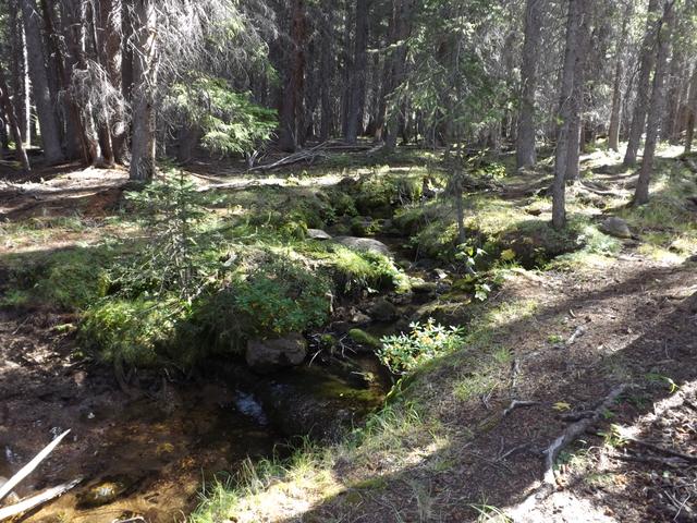 DSCF5080.JPG