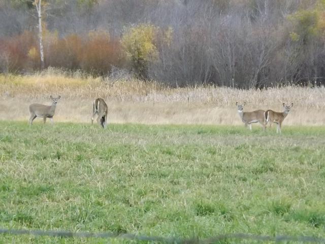 DSCF5209.JPG