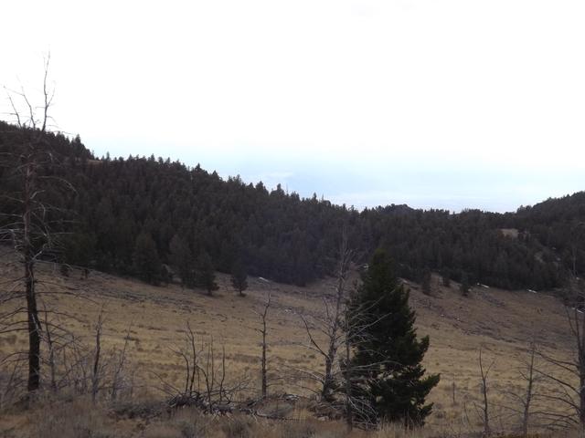 DSCF5261.JPG