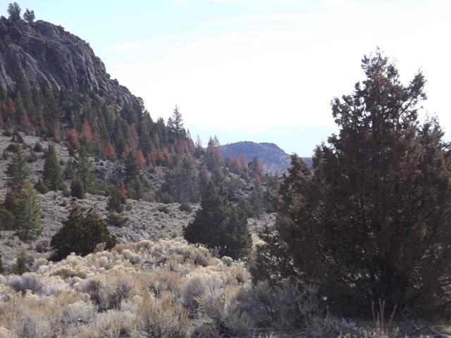 DSCF5301.JPG