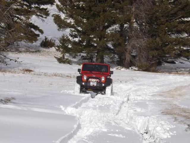 DSCF5335.JPG