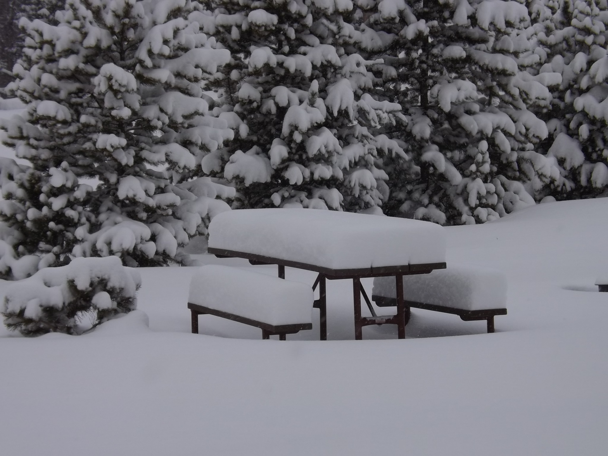 DSCF5574.JPG