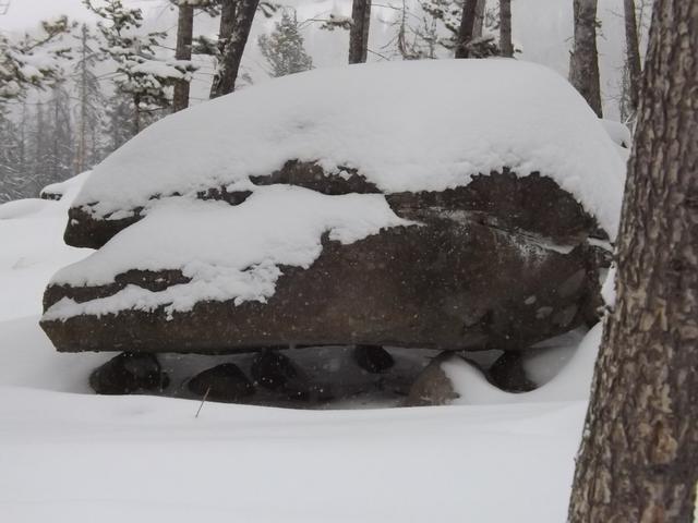 DSCF5580.JPG