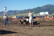 Springer in the pit