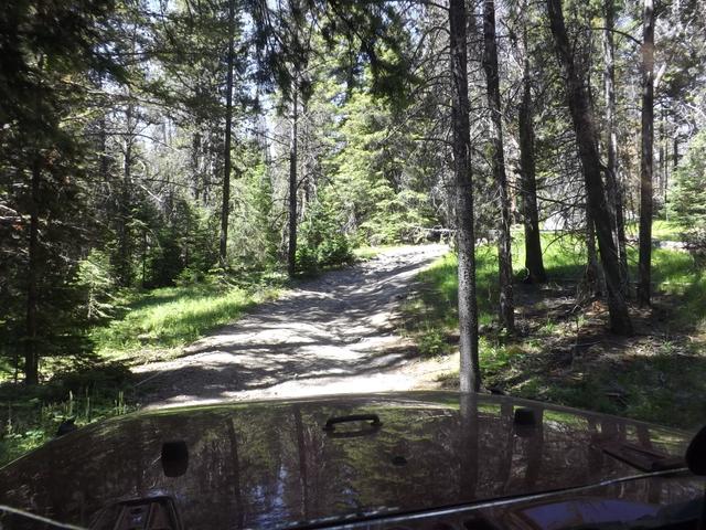 DSCF9177.JPG