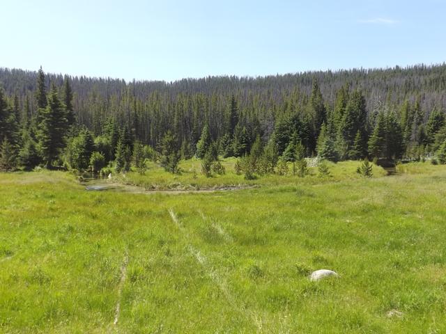 DSCF9178.JPG