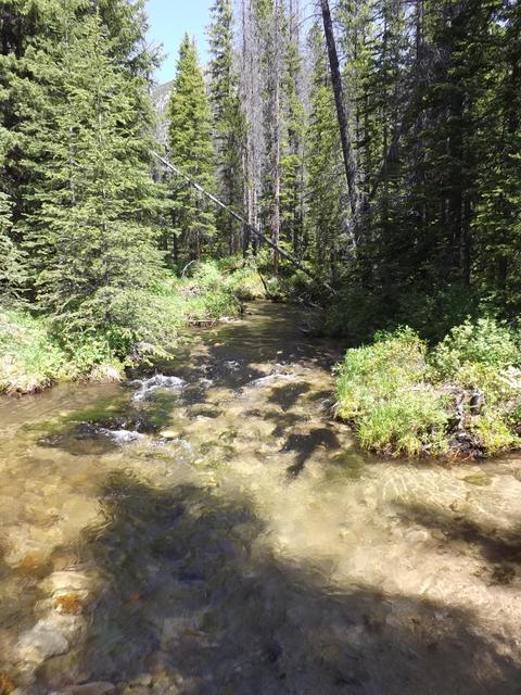 DSCF9183.JPG
