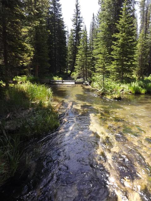 DSCF9184.JPG
