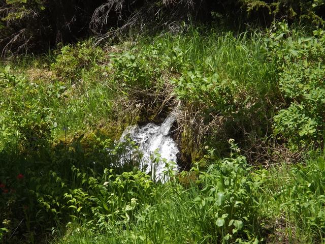 DSCF9189.JPG