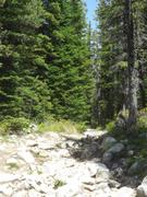DSCF9190.JPG
