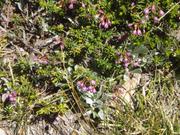 DSCF9214.JPG