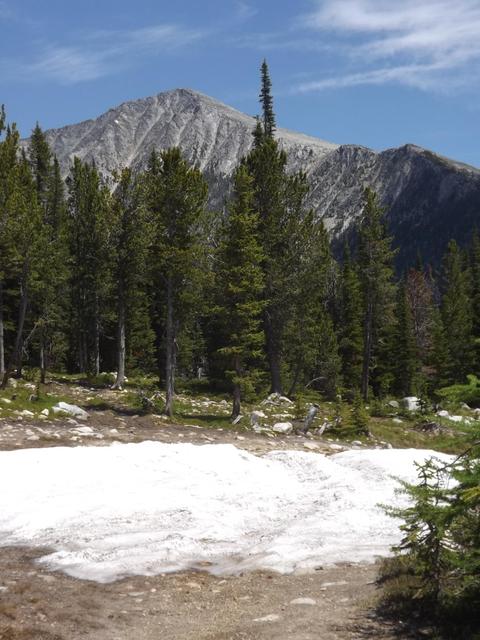 DSCF9215.JPG