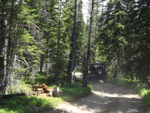 DSCF9242.JPG
