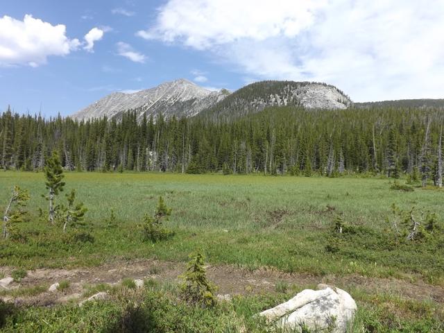 DSCF9244.JPG