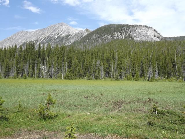 DSCF9245.JPG