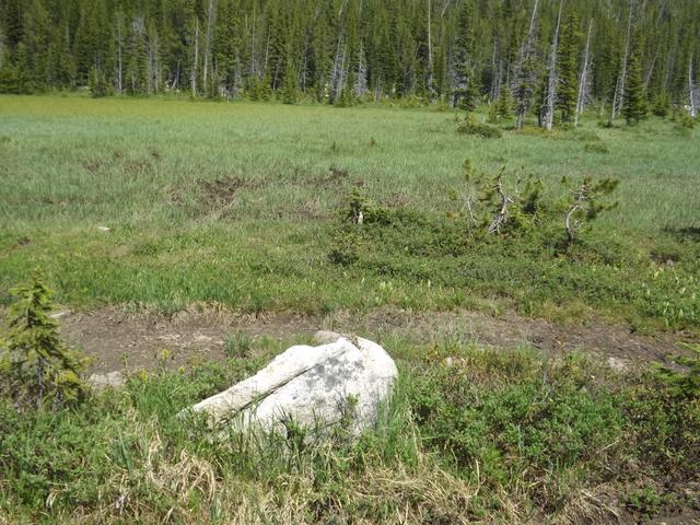DSCF9246.JPG