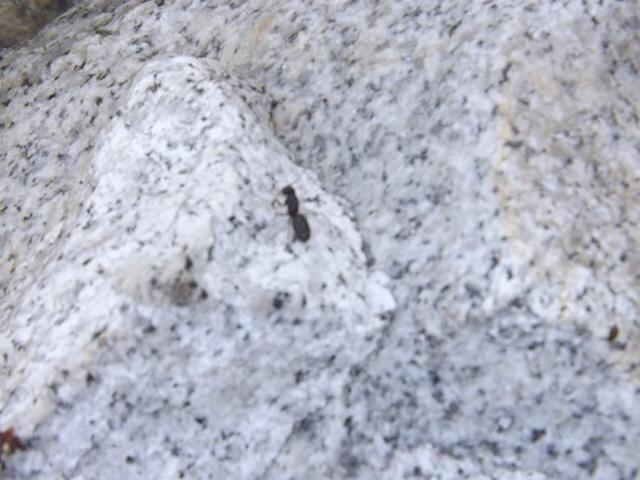 DSCF9257.JPG