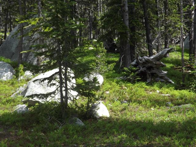 DSCF9266.JPG