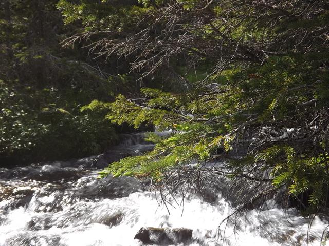 DSCF9283.JPG