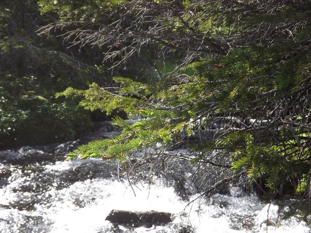 DSCF9284.JPG