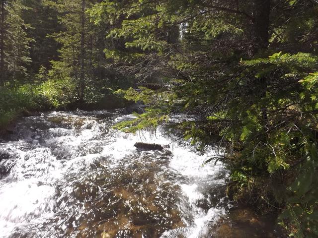 DSCF9286.JPG