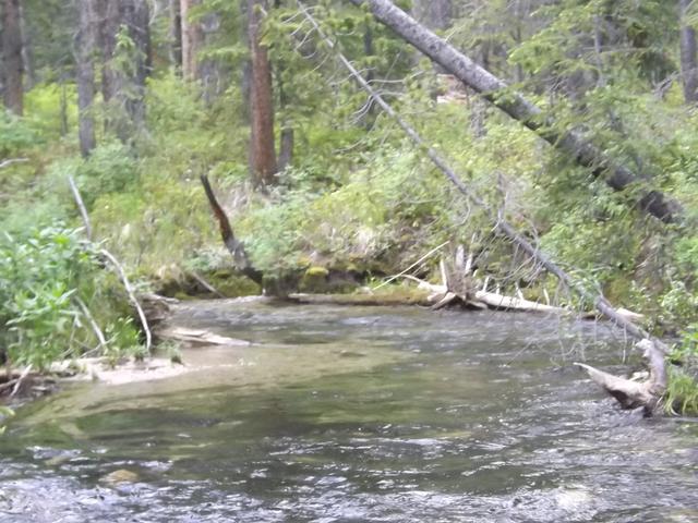 DSCF9301.JPG