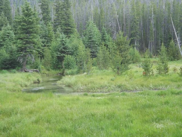 DSCF9308.JPG