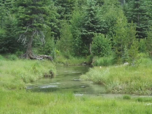 DSCF9309.JPG