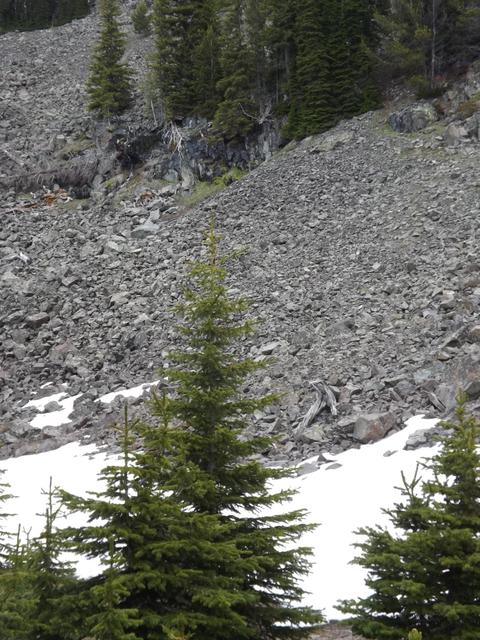 DSCF9131.JPG