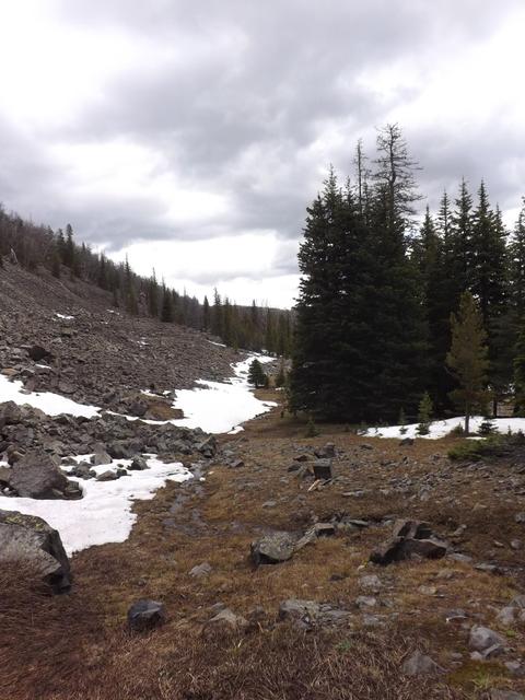 DSCF9133.JPG