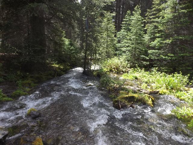DSCF9148.JPG
