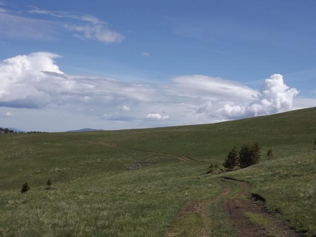 DSCF9078.JPG