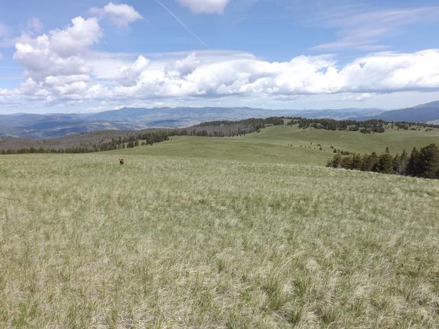 DSCF9083.JPG