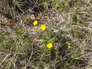 DSCF9084.JPG