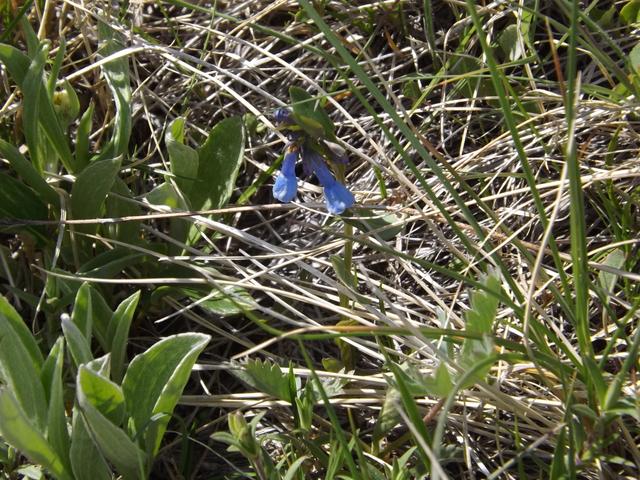 DSCF9086.JPG