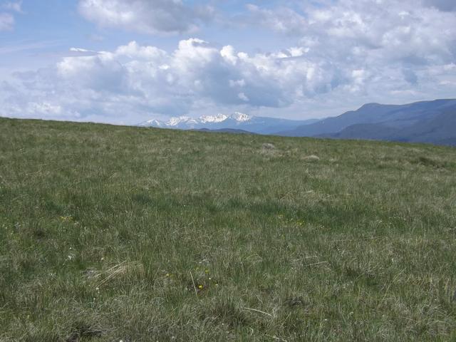DSCF9096.JPG