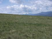 DSCF9096.JPG