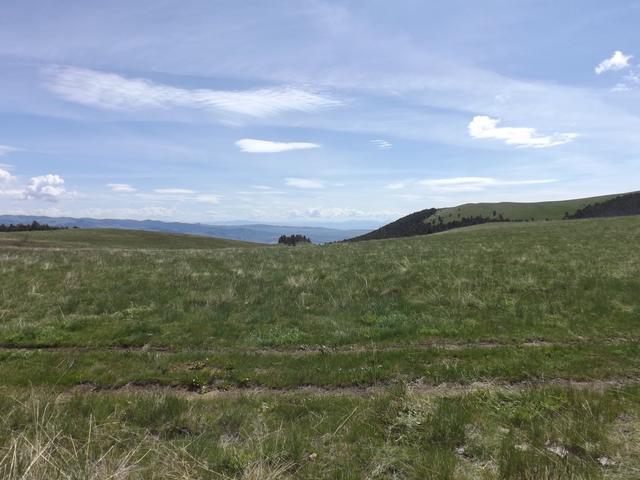 DSCF9097.JPG
