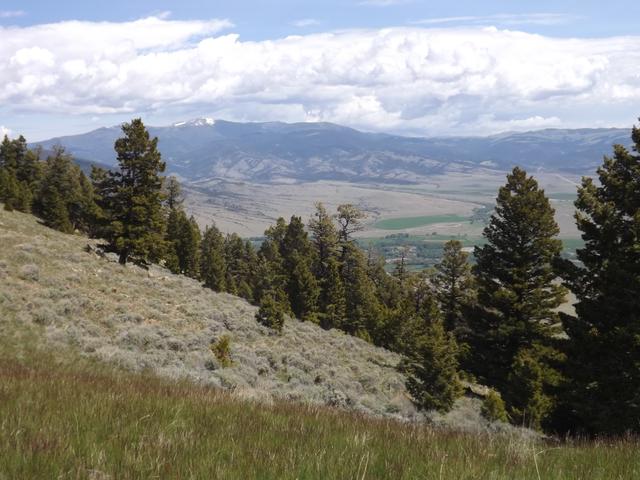 DSCF9106.JPG
