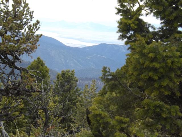 DSCF9073.JPG