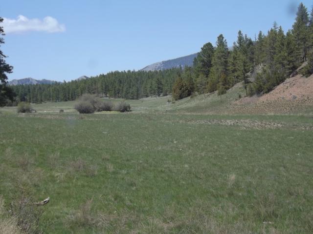 DSCF8893.JPG
