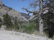 DSCF8900.JPG