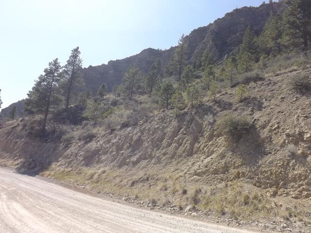 DSCF8907.JPG