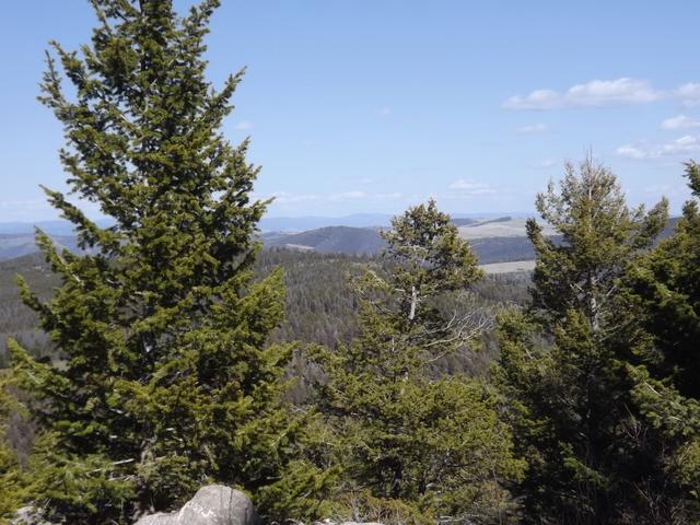DSCF8929.JPG